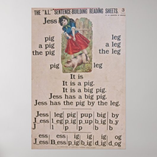 Vintage Poster Poster (Voorkant)