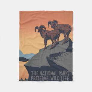 Vintage Poster Promoting reizen naar nationale par Fleece Deken