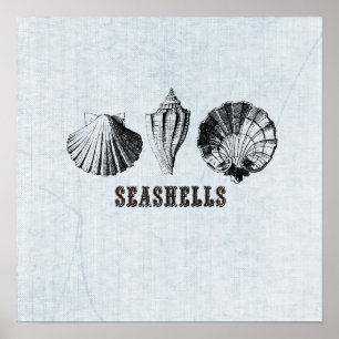 Vintage Poster ter illustratie van zeeschelpen
