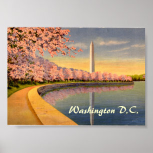 Vintage Poster, Washington DC Poster