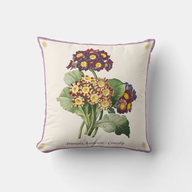 Vintage Primula Auriculum - Coussin Cowdrop (Recto)