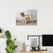 Vintage Pug Poster (Thuiskantoor)