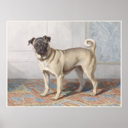Vintage Pug Poster (Voorkant)
