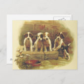 Vintage Puppies Briefkaart (Voorkant / Achterkant)