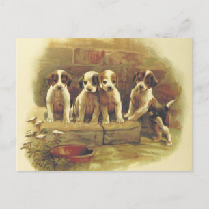 Vintage Puppies Briefkaart