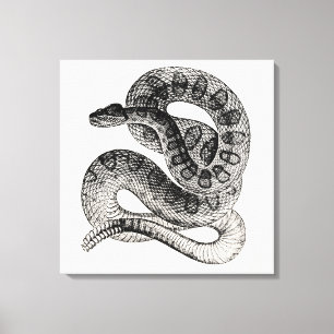 Vintage Rattlesnake Reptile Snake Sjabloon Canvas Afdruk