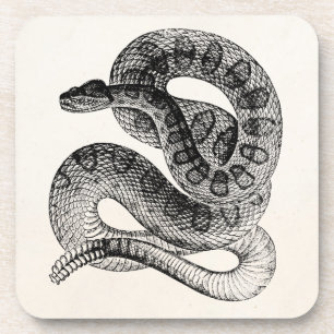 Vintage Rattlesnake Reptile Snake Sjabloon Onderzetter
