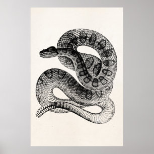 Vintage Rattlesnake Reptile Snake Sjabloon Poster