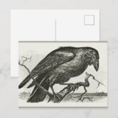 Vintage Raven Woodcut Briefkaart (Voorkant / Achterkant)