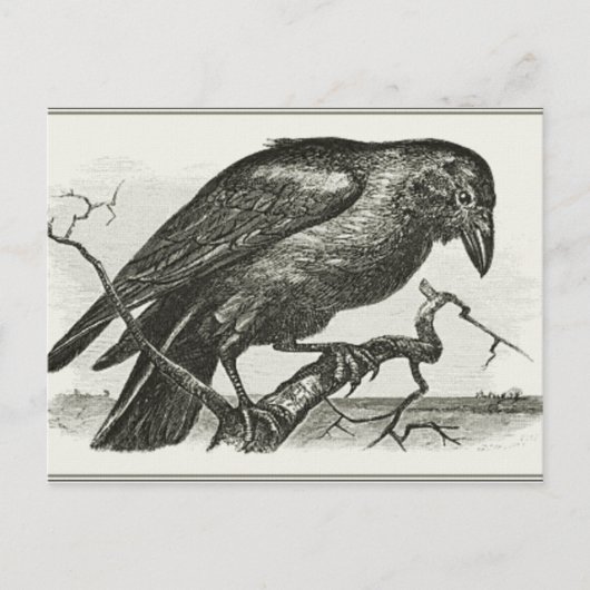 Vintage Raven Woodcut Briefkaart (Voorkant)