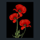 Vintage Red Poppies Botanique Imprimer<br><div class="desc">Vibrant pavot rouge adapté d'une illustration botanique vintage.</div>