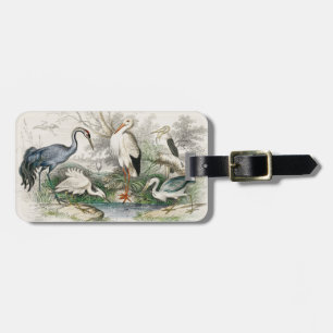 Vintage Reiger Ooievaar en Kraanvogel Natuur Kunst Bagagelabel