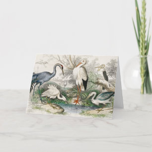 Vintage Reiger Ooievaar en Kraanvogel Natuur Kunst Feestdagen Kaart