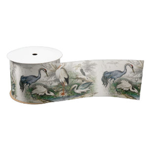 Vintage Reiger Ooievaar en Kraanvogel Natuur Kunst Lint