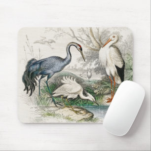 Vintage Reiger Ooievaar en Kraanvogel Natuur Kunst Muismat
