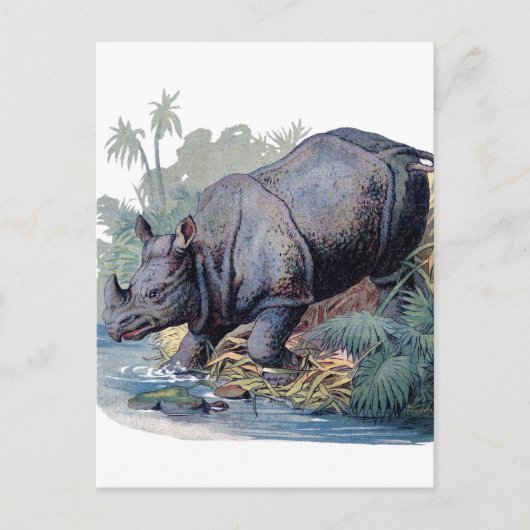 Vintage Rhino Briefkaart (Voorkant)