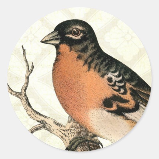 Vintage Robin Ronde Sticker (Voorkant)