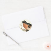 Vintage Robin Ronde Sticker (Envelop)