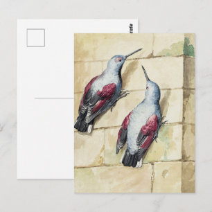 Vintage Rode en Grijze Vogel Aquarel Kunst Briefkaart