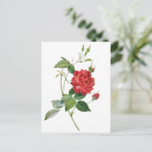 Vintage rode roze briefkaart (Staand voorkant)