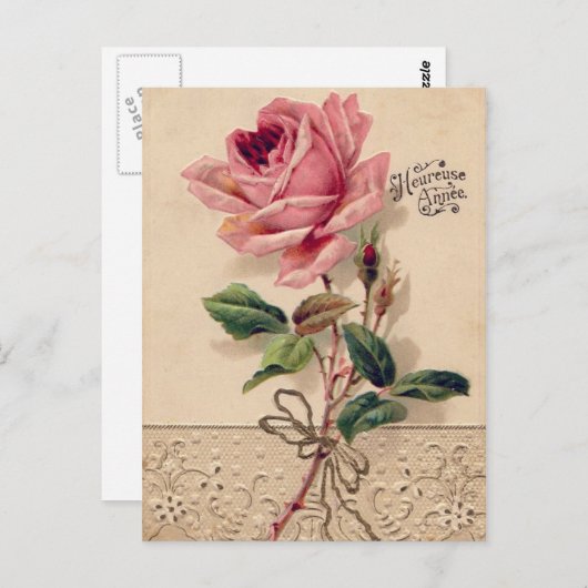 Vintage Roos Briefkaarten (Voorkant / Achterkant)