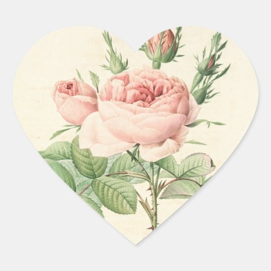 Vintage Roos Hart Sticker (Voorkant)