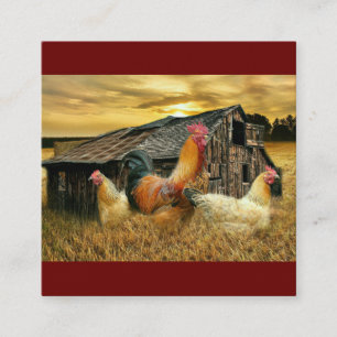 Vintage Rooster Hens Rustic Barn Coop Vierkante Visitekaartje