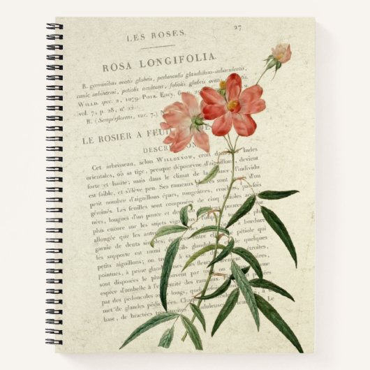 Vintage Rosa Longifolia Notitieboek (Voorkant)