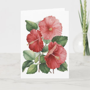 Vintage Roze Hibiscus, Kaart