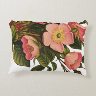 Vintage Rozen Mooie Roze Botanisch Accent Kussen
