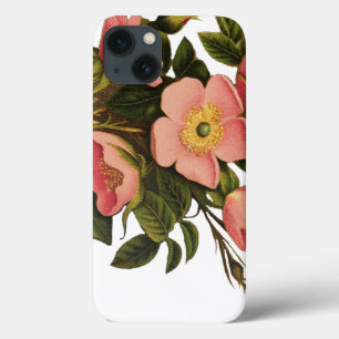 Vintage Rozen Mooie Roze Botanisch iPhone 13 Hoesje