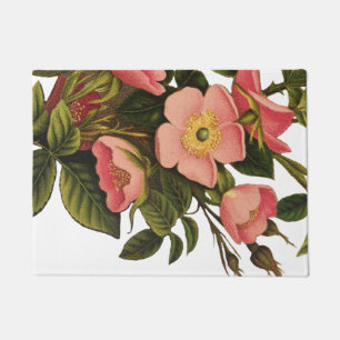 Vintage Rozen Mooie Roze Botanisch Deurmat