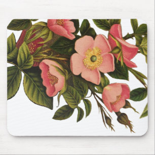 Vintage Rozen Mooie Roze Botanisch Muismat