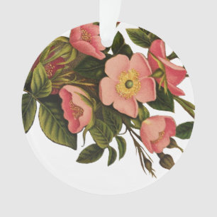 Vintage Rozen Mooie Roze Botanisch Ornament