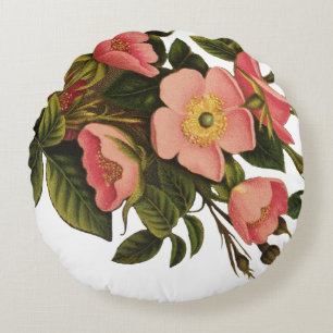 Vintage Rozen Mooie Roze Botanisch Rond Kussen