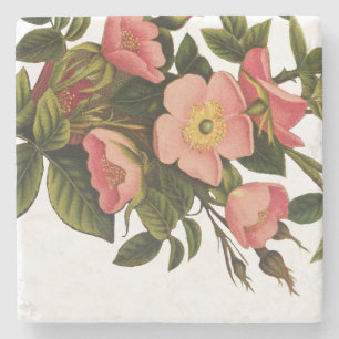 Vintage Rozen Mooie Roze Botanisch Stenen Onderzetter