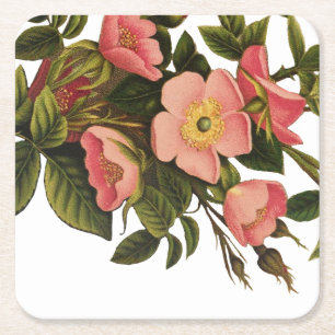 Vintage Rozen Mooie Roze Botanisch Vierkante Kartonnen Onderzetter