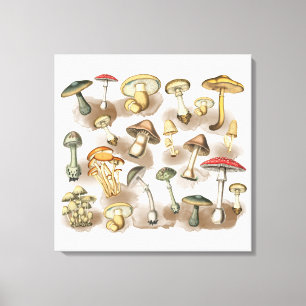 Vintage Rustic Forest Mushrooms Canvas Afdruk