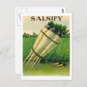 vintage salsify seed packet postcard briefkaart (Voorkant / Achterkant)