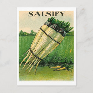 vintage salsify seed packet postcard briefkaart