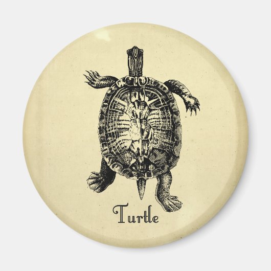 VINTAGE SCHILDPAD MAGNEET (Voorkant)