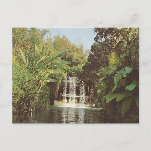 Vintage Schweitzer Herfsten Briefkaart (Voorkant)