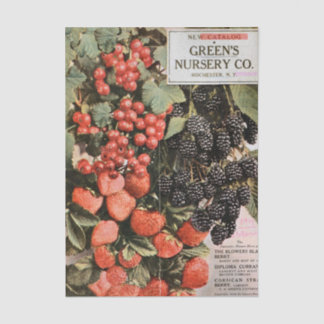 Vintage Seed Catalog, 1919, Green's Nursery, Fruit Tissuepapier