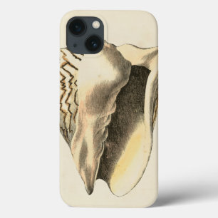 Vintage Sepia Conch Shell iPhone 13 Hoesje