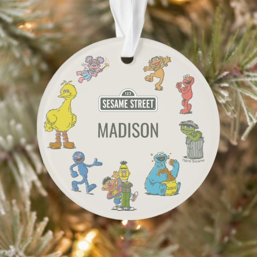 Vintage Sesame Street Characters Ornament (Boom)