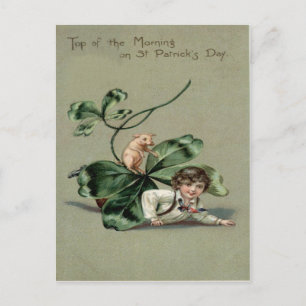 Vintage Shamrock Varken St. Patrick's Dag Kaart