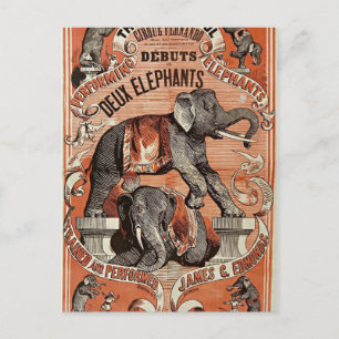 vintage show briefkaart