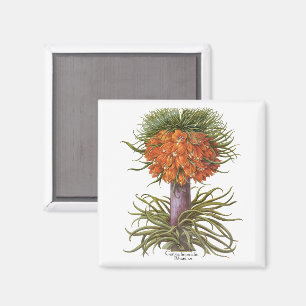 Vintage Sinaasappel Fritillaria Bloemen Basilius B Magneet