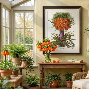 Vintage Sinaasappel Fritillaria Bloemen Basilius B Poster