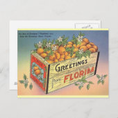 Vintage Sinaasappels Briefkaart (Voorkant / Achterkant)